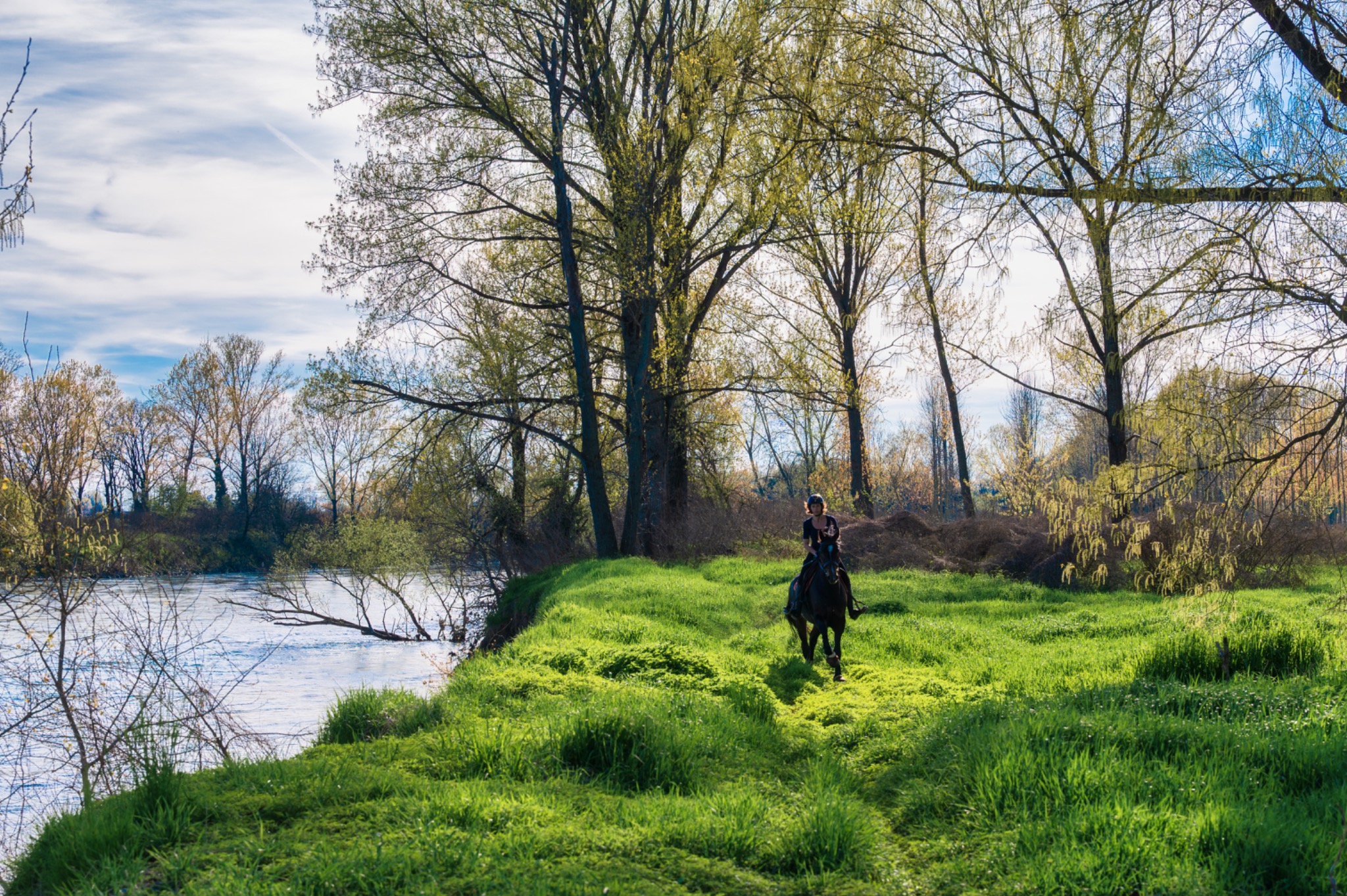 Passeggiata a cavallo nel prato alberato accanto al fiume Adda