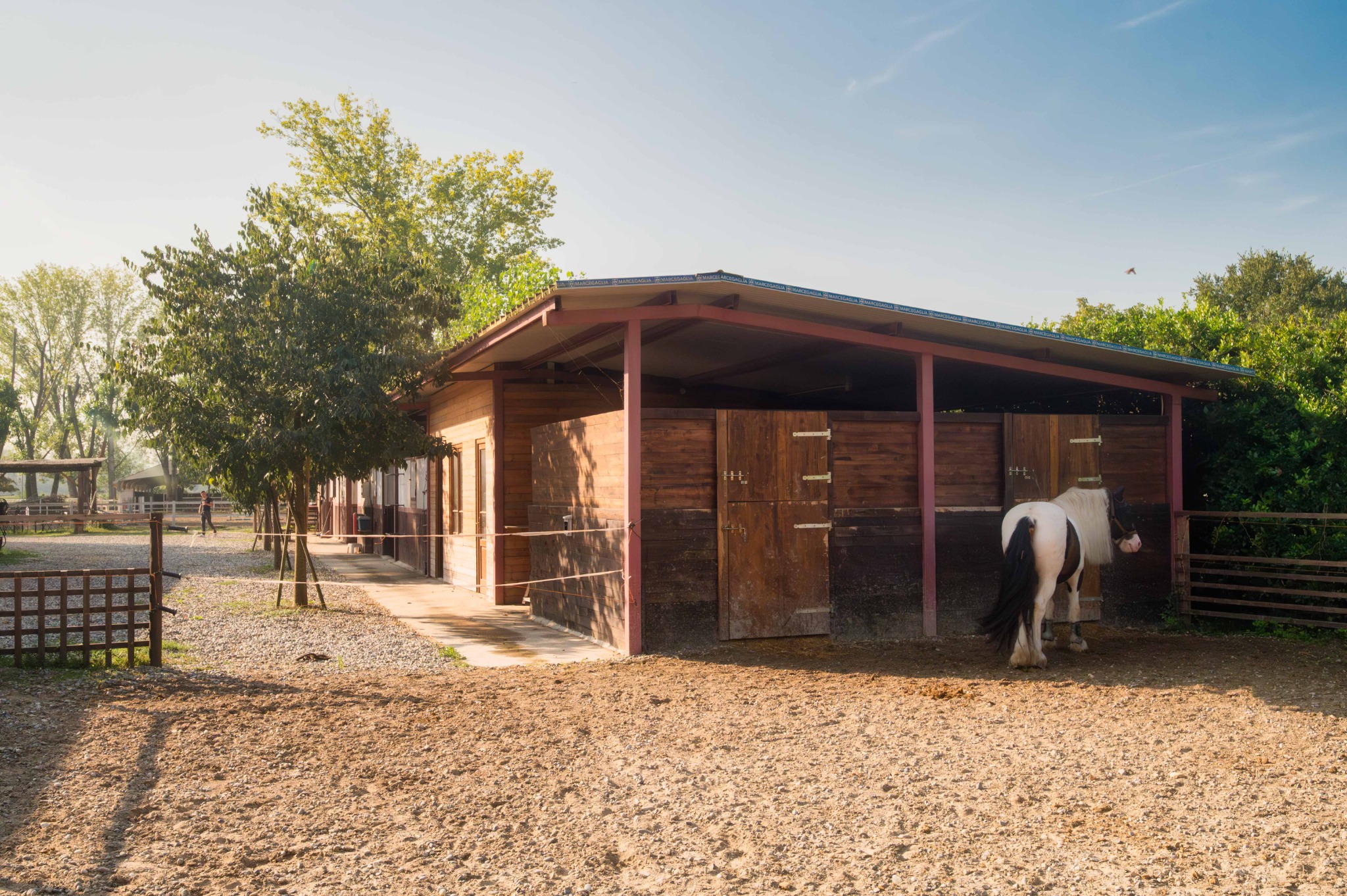 Box esterni in legno con paddock annesso e un cavallo al Remolino.