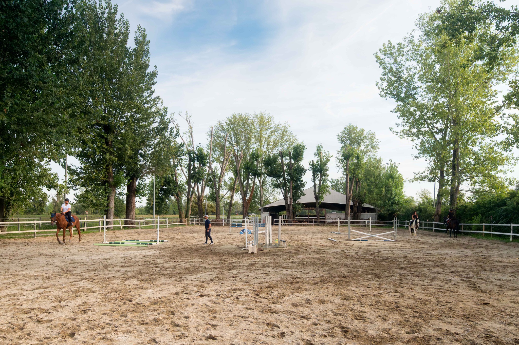 Cavalli montati nel campo esterno con ostacoli, alberi lungo il perimetro e maneggio coperto sullo sfondo.