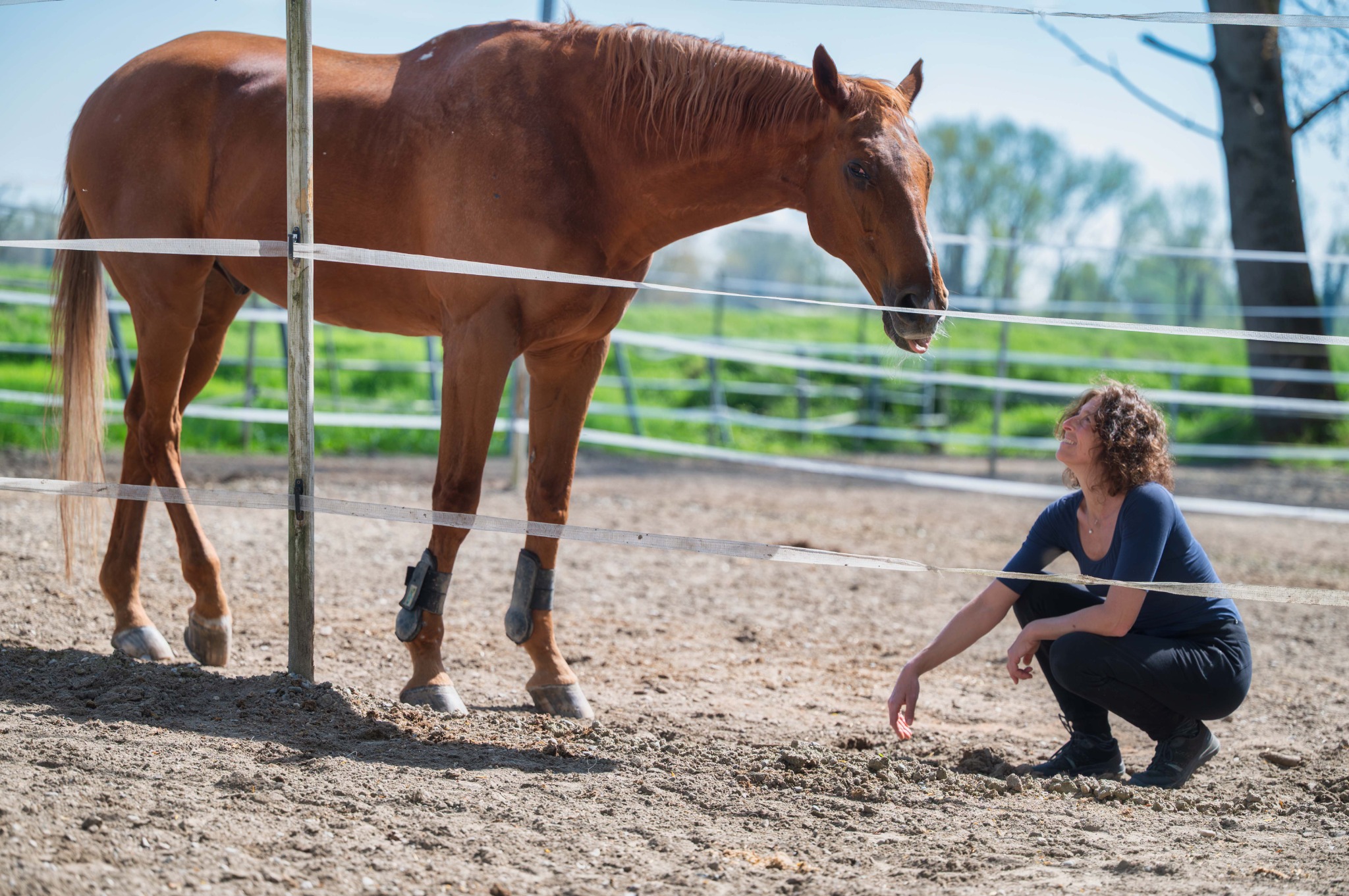 Caterina accovacciata accanto alla recinzione del paddock guarda il suo cavallo Dorian.