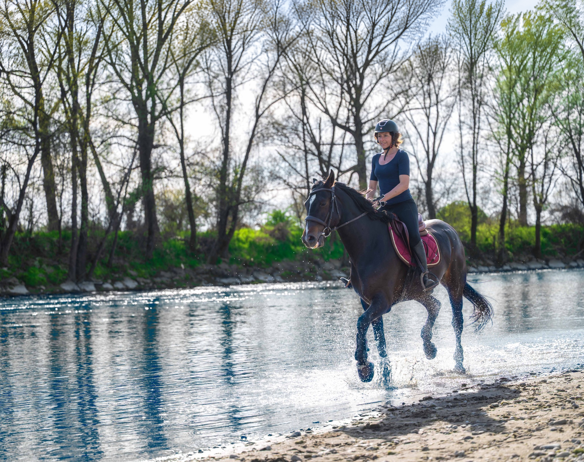 Amazzone su un cavallo baio scuro nell’acqua del fiume Adda, vicino alla riva, a pochi passi dal Remolino.