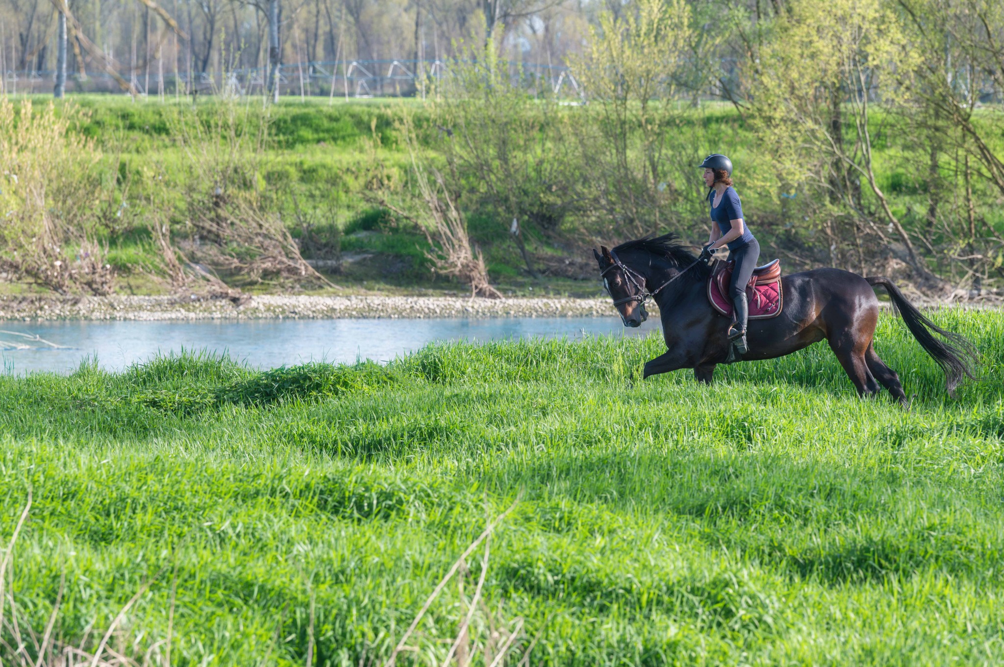 Amazzone su un cavallo scuro in movimento nell’erba lungo la riva del fiume Adda, a pochi passi dal Remolino.