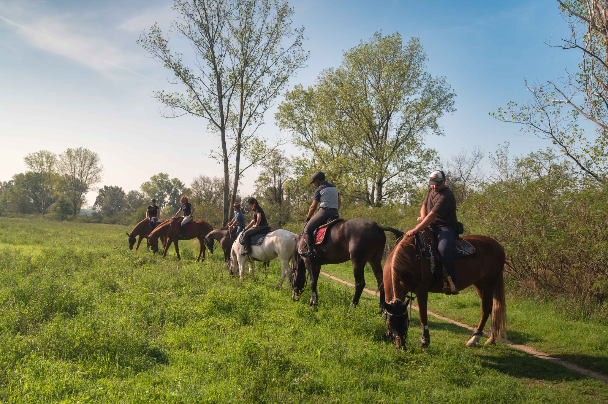 Uscita di gruppo a cavallo attraverso un prato nel paesaggio dell’Adda.