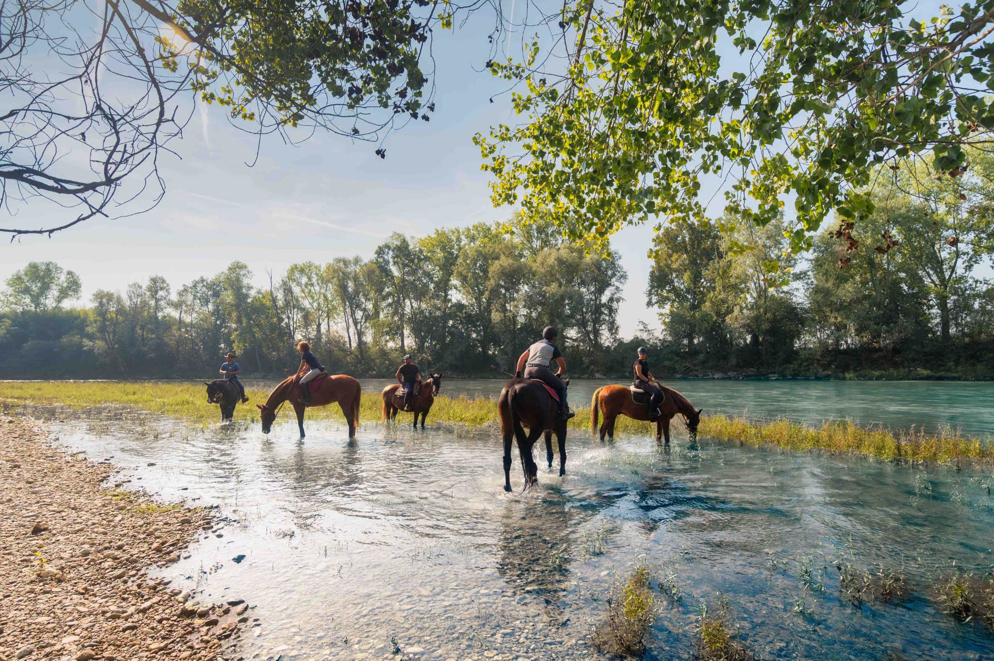 Cavalieri con i propri cavalli nell’acqua del fiume Adda.