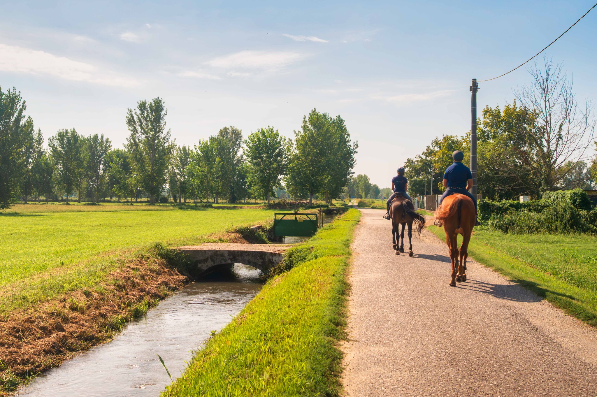 Due cavalieri di spalle percorrono una strada di campagna accanto a un canale e a filari di alberi.