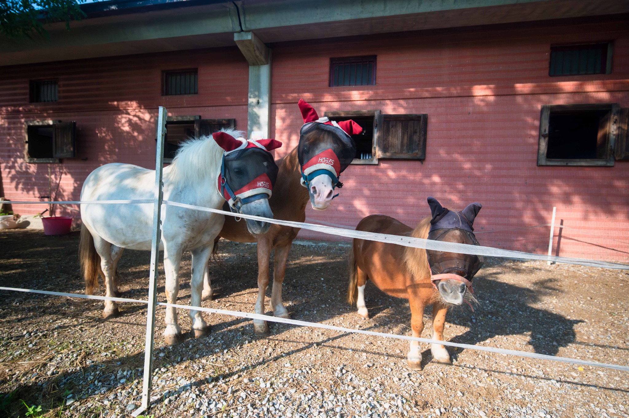 Pony davanti ai box esterni del Remolino.