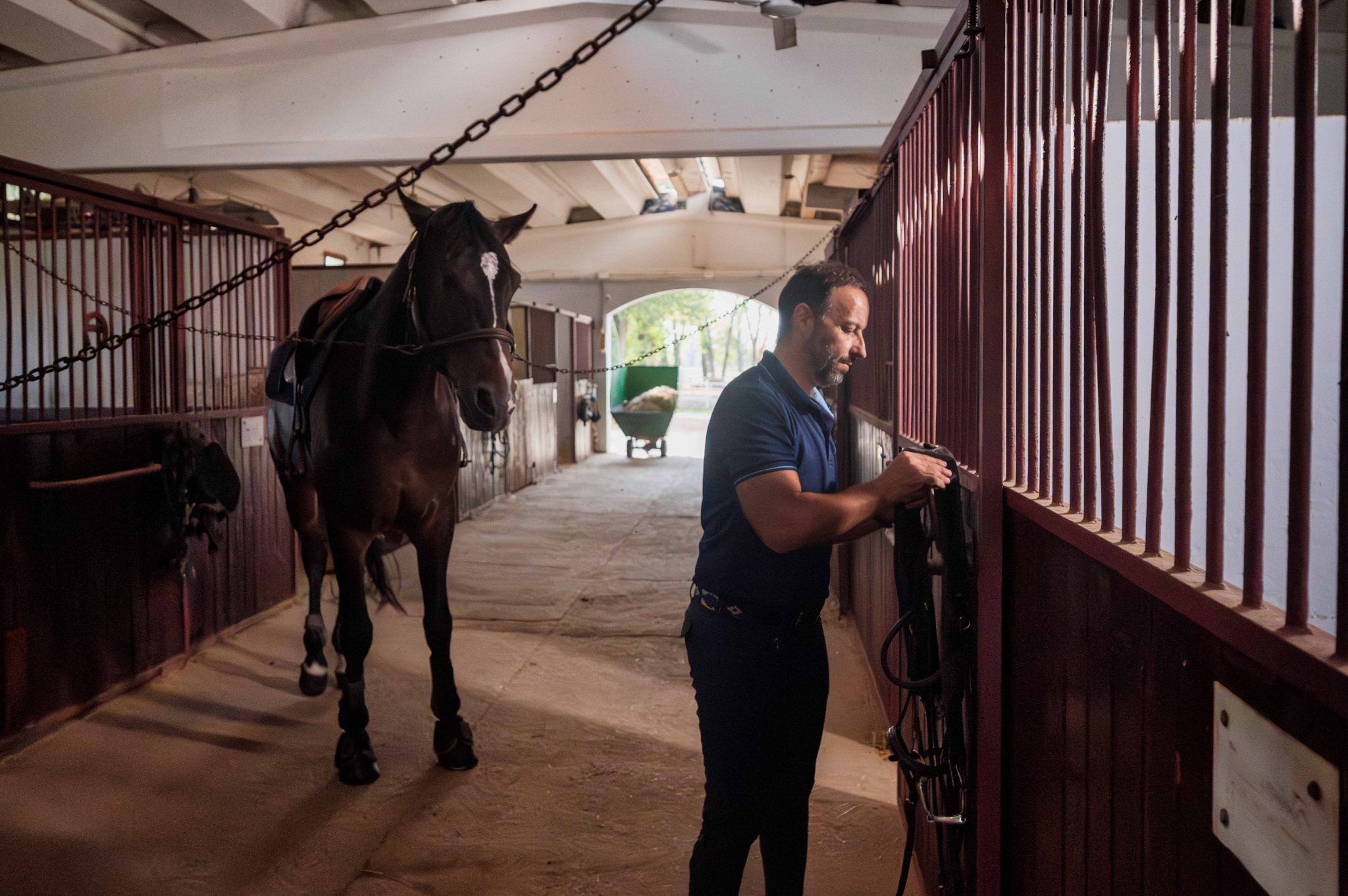 Un uomo sistema i finimenti accanto a un cavallo sellato nel corridoio della scuderia.