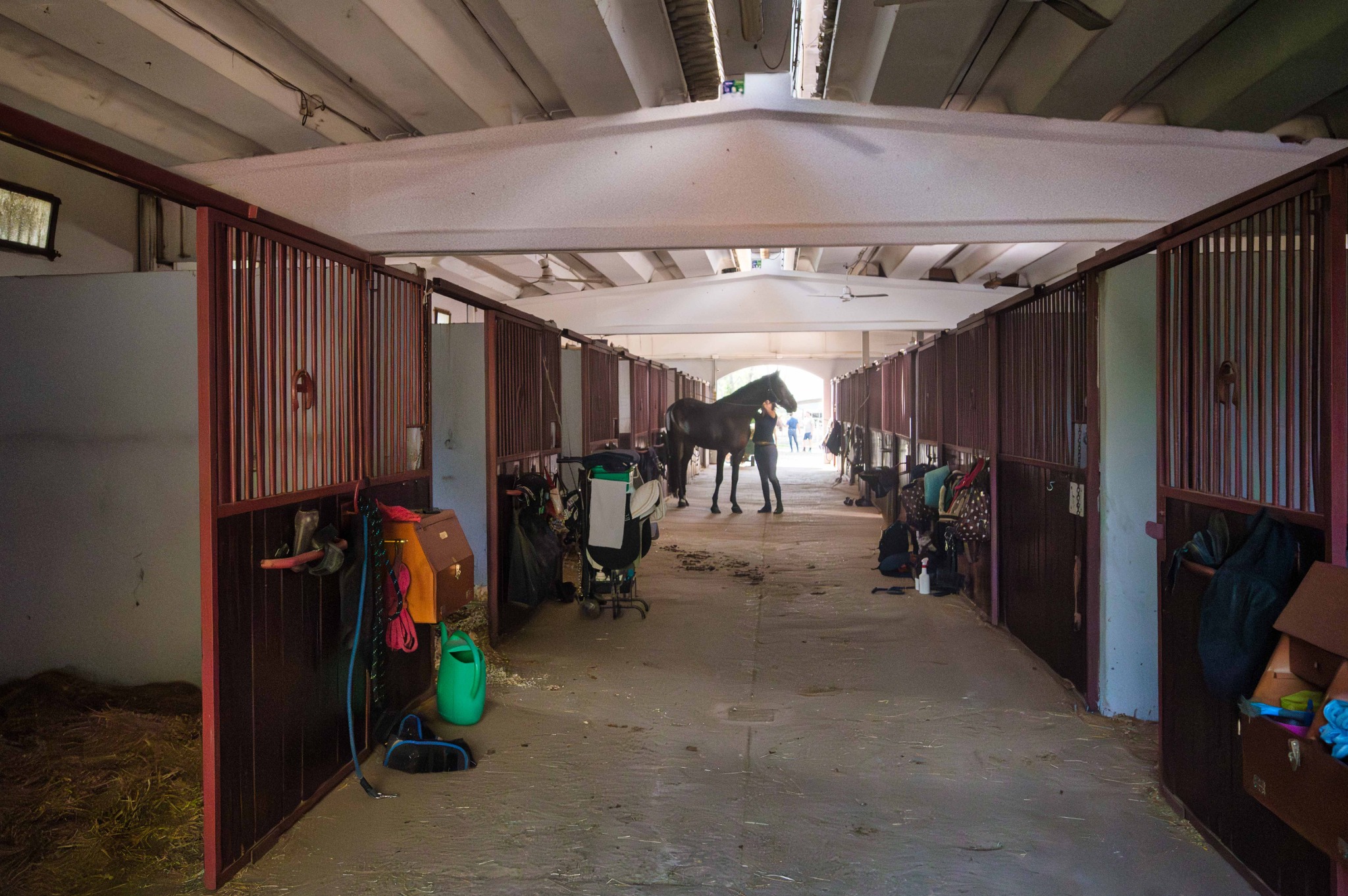 Corridoio della scuderia del Remolino, con box sui due lati e una cliente accanto al suo cavallo.