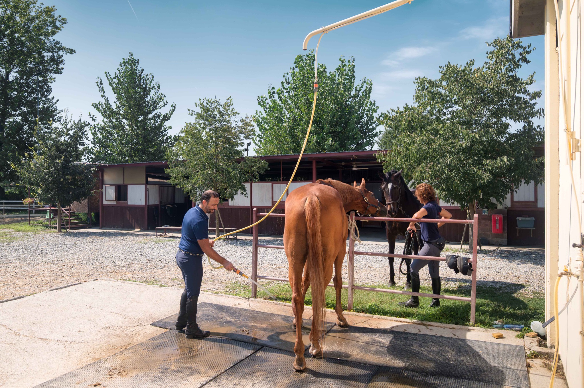 Lavaggio di un cavallo nell’area esterna attrezzata, con la fila dei box sullo sfondo.